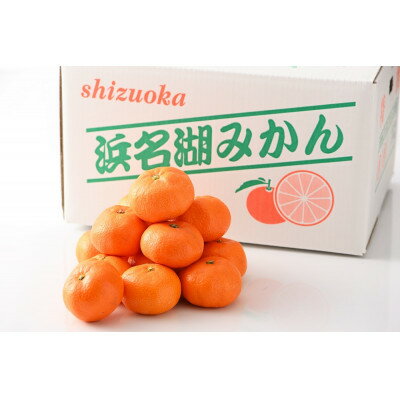 【ふるさと納税】【2026年1月発送】浜名湖の「青島みかん」10kg【1537446】 サムネイル2