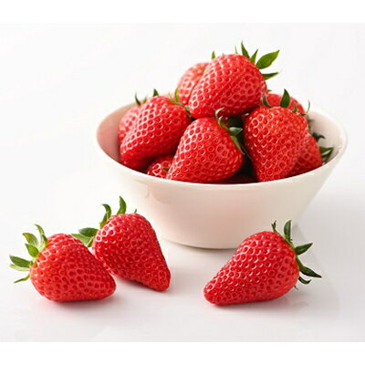 【ふるさと納税】【静岡県産いちご】きらぴ香 280g×2パック【配送不可地域：離島・北海道・沖縄県・東北・中国・四国・九州】【1561173】 サムネイル3