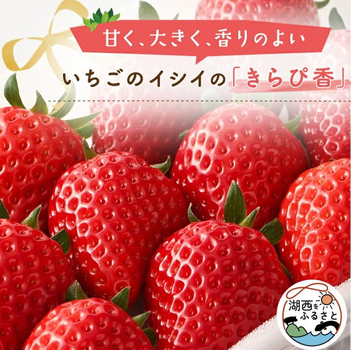 【静岡県産いちご】きらぴ香 280g×2パック【配送不可地域：離島・北海道・沖縄県・東北・中国・四国・九州】【1561173】
