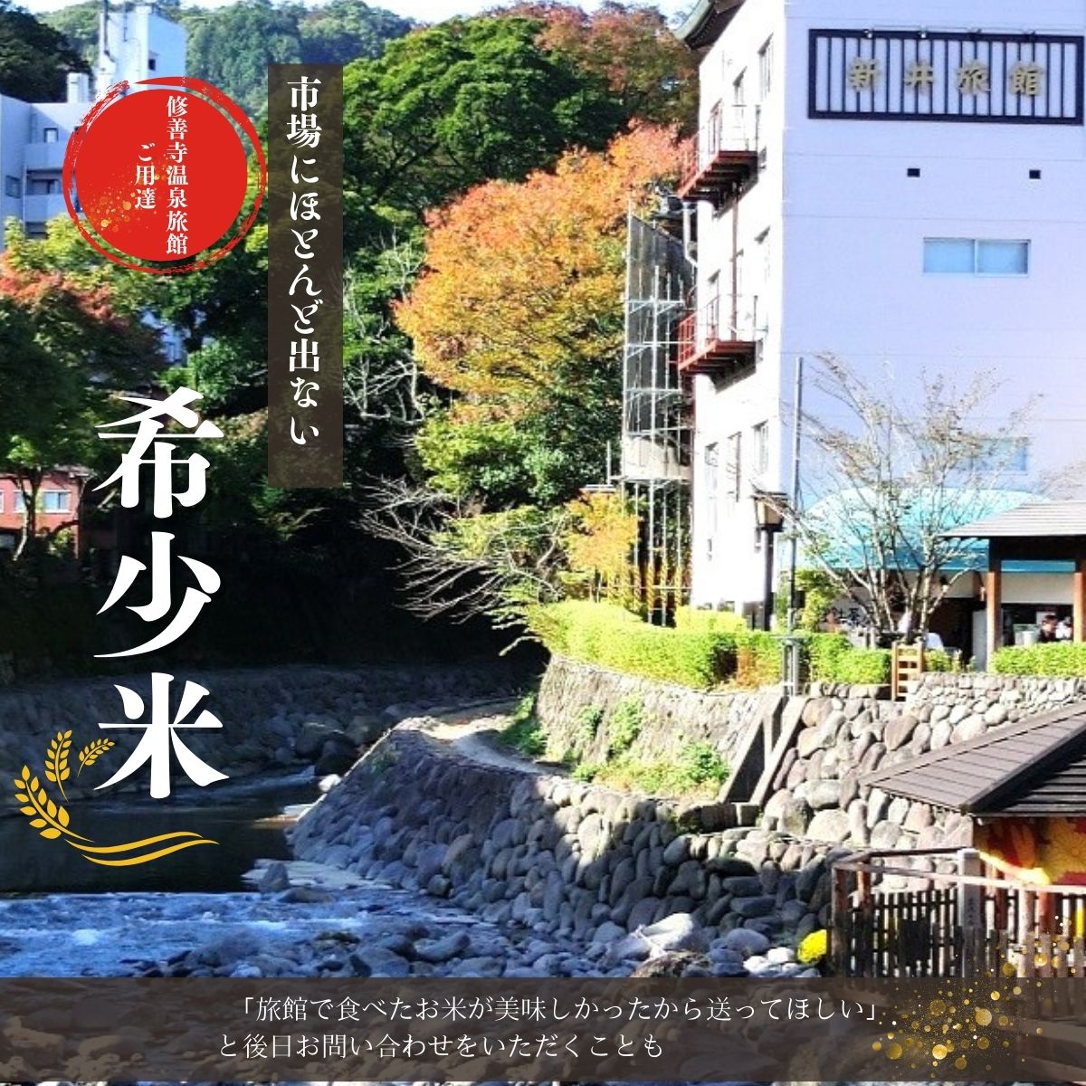 【ふるさと納税】 ＜数量限定＞ 米 桂流 こしひかり 5kg 特別栽培米 コシヒカリ 白米 お米 おこめ 精米 ブランド米 国産 ごはん ご飯 おにぎり おむすび 弁当 送料無料 お取り寄せ 静岡 静岡県 伊豆市 [015-013] - 画像2