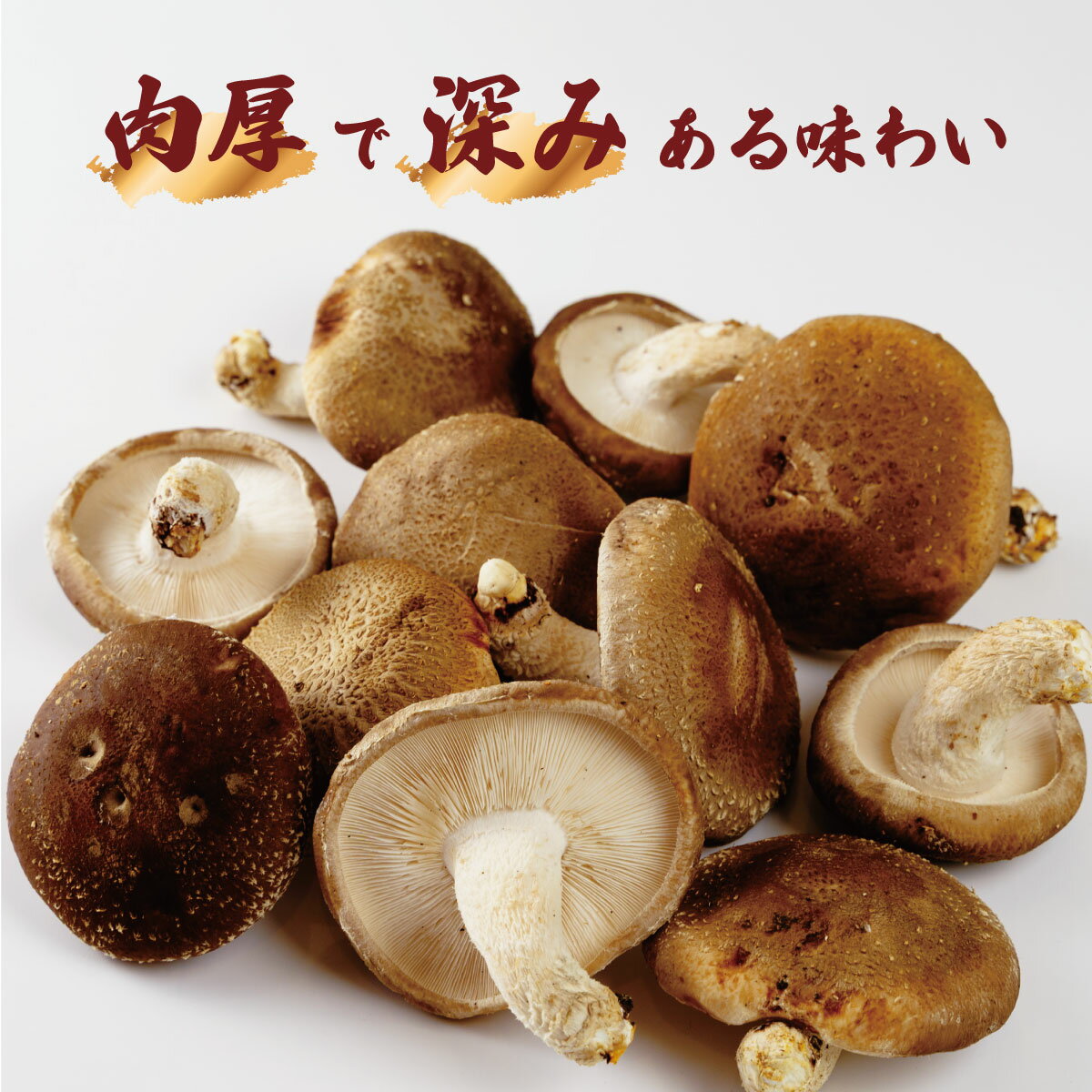 【ふるさと納税】原木栽培の 生しいたけ 1kg / 伊豆産 伊豆 肉厚 1キロ 無農薬 無肥料 生 シイタケ 椎茸 きのこ キノコ 茸 野菜 お取り寄せ 冷蔵 送料無料 国産 国内 中部 静岡 静岡市 伊豆市 010-002 - 画像2