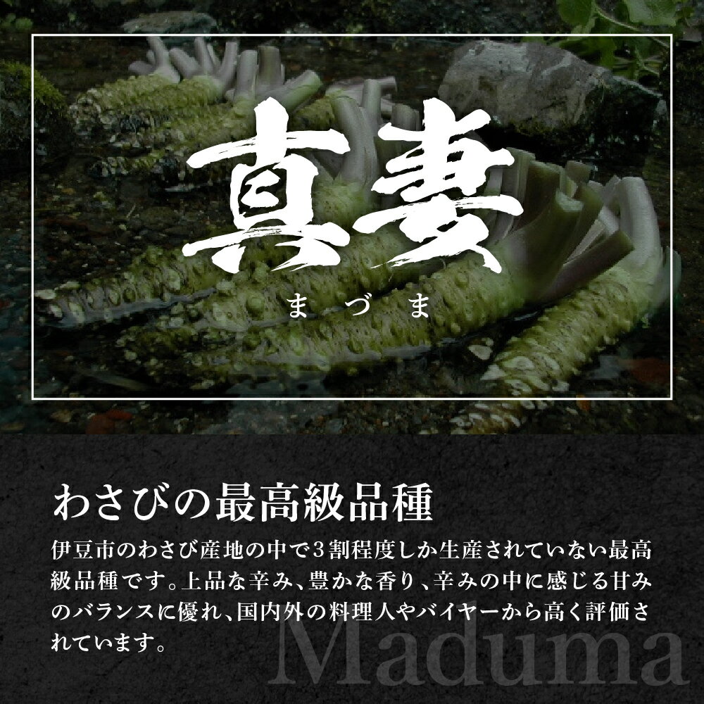 【ふるさと納税】 世界農業産認定 伊豆本格 生わさび 真妻 堪能セット おろし金付 / 最高級品種 新鮮 贈り物 ギフト 生 わさび ワサビ 薬味 詰め合わせ お取り寄せ 送料無料 静岡県 伊豆市 [012-005] サムネイル3