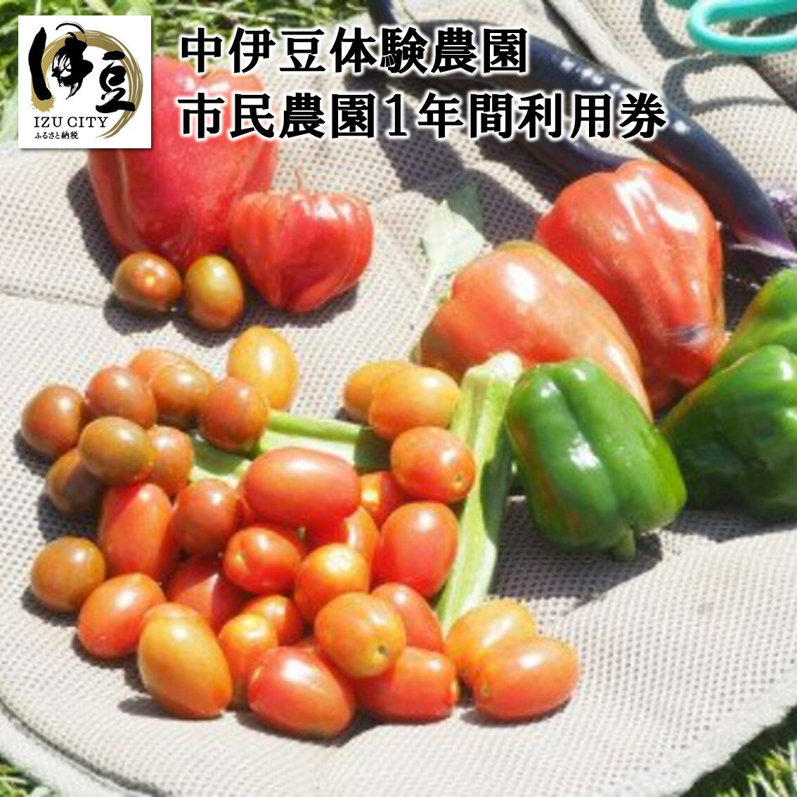 C-038 中伊豆体験農園 (市民農園) 1年間利用券