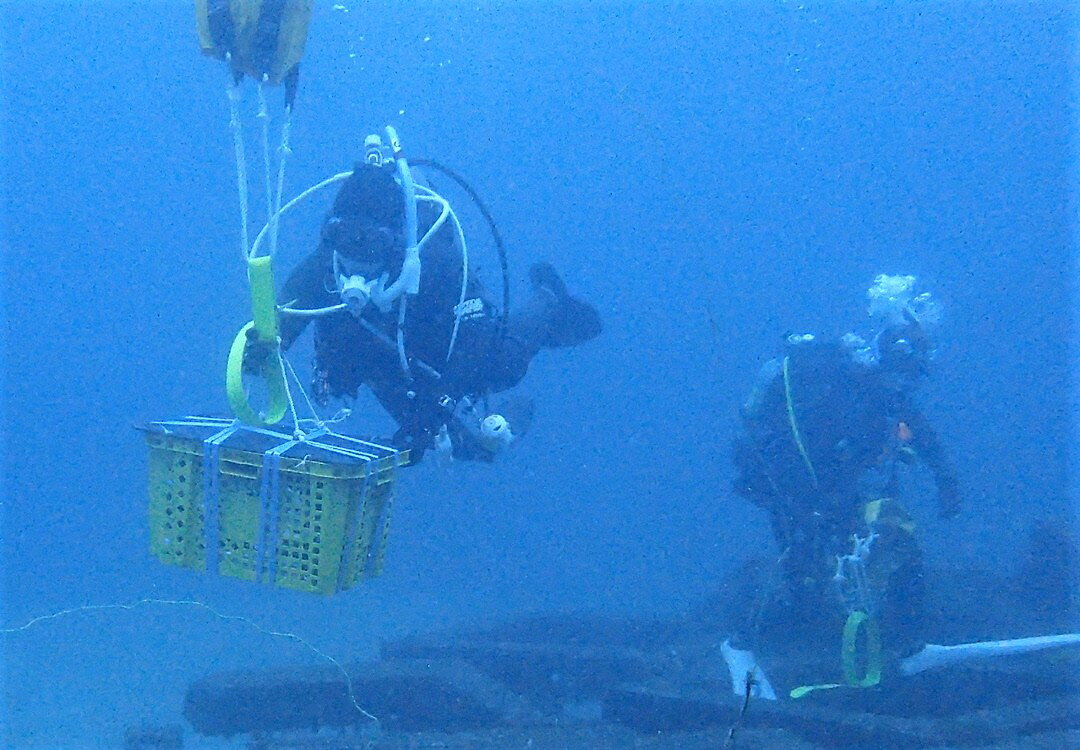 【ふるさと納税】土肥海底熟成 赤ワイン LOVE Mare (らぶ・ま〜れ) 750ml×1本 伊豆 ヤマソービニオン [032-001] ワイン 赤 熟成 海 海底 お酒 アルコール 飲料 日本 国産 国内産 お取り寄せ 静岡県 伊豆市 土肥 中伊豆 サムネイル3