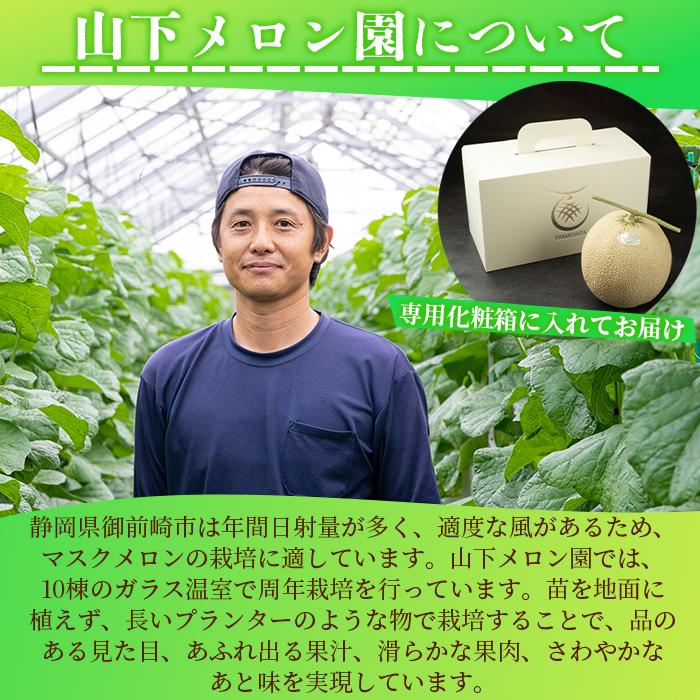 【ふるさと納税】【特別寄付額：事業者支援】静岡温室メロン M玉約1.4kg×2玉 最高級のマスクメロン 山下メロン園 高級果実店に仕入るほどの自信のあるメロン ギフト メロン めろん 箱詰め フルーツ 果物 産地直送 甘いメロン 糖度 青肉 高級 百貨店 サムネイル2