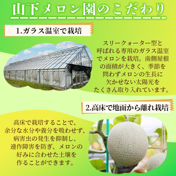 【ふるさと納税】【特別寄付額：事業者支援】静岡温室メロン M玉約1.4kg×2玉 最高級のマスクメロン 山下メロン園 高級果実店に仕入るほどの自信のあるメロン ギフト メロン めろん 箱詰め フルーツ 果物 産地直送 甘いメロン 糖度 青肉 高級 百貨店 サムネイル3