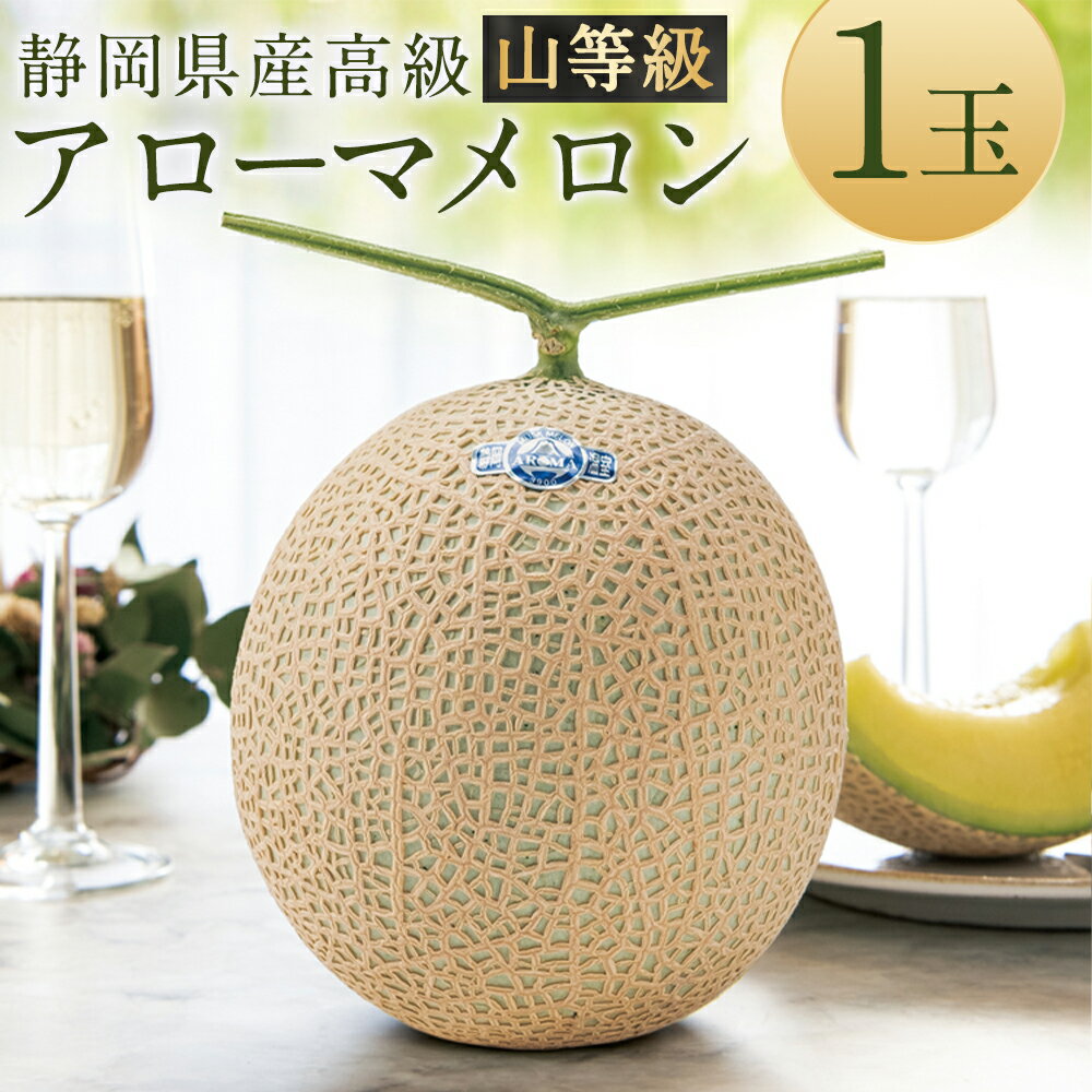 静岡県産 高級 アローマメロン 山等級 1玉 約1.3kg以上 メロン 高級メロン マスクメロン 温室 フルーツ くだもの 果物 化粧箱入 お取り寄せ 国産 静岡県 菊川市 送料無料 【通年受付・発送】