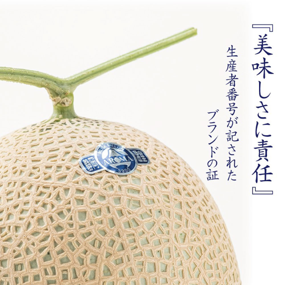 【ふるさと納税】【選べる定期便回数】静岡県産 高級アローマメロン 白等級 1回あたり約1kg以上×1玉 3回/4回/5回/6回/7回/8回/9回/10回/11回/12回 メロン 高級メロン マスクメロン 温室 フルーツ 果物 化粧箱入 お取り寄せ 国産 静岡県 菊川市 送料無料 【通年受付・発送】 サムネイル3