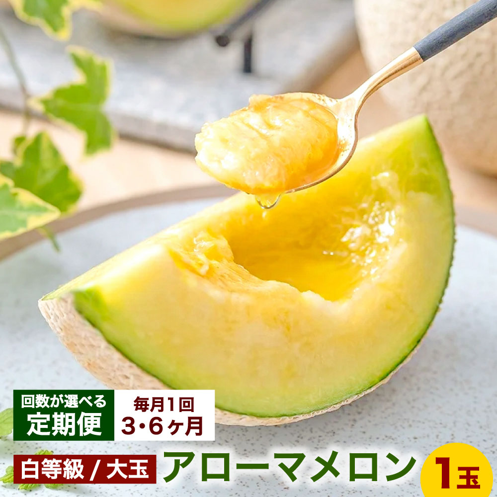 【選べる定期便】静岡県産 高級アローマメロン 白等級 大玉 1玉 約1.5kg以上＜定期便3ヶ月 または 6ヶ月＞メロン 高級メロン マスクメロン 温室 フルーツ 果物 化粧箱入 お取り寄せ 国産 静岡県 菊川市 送料無料【通年受付・発送】