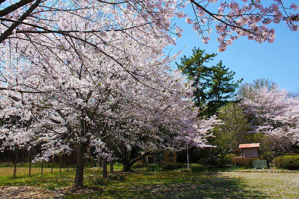 【ふるさと納税】静岡県 菊川市 日本旅行 地域限定 旅行クーポン 15,000円分 チケット 旅行 宿泊券 ホテル 観光 旅行 旅行券 交通費 体験 宿泊 夏休み 冬休み 家族旅行 ひとり カップル 夫婦 親子 トラベルクーポン 菊川市旅行 楽天スーパーSALE 9月開催 サムネイル2
