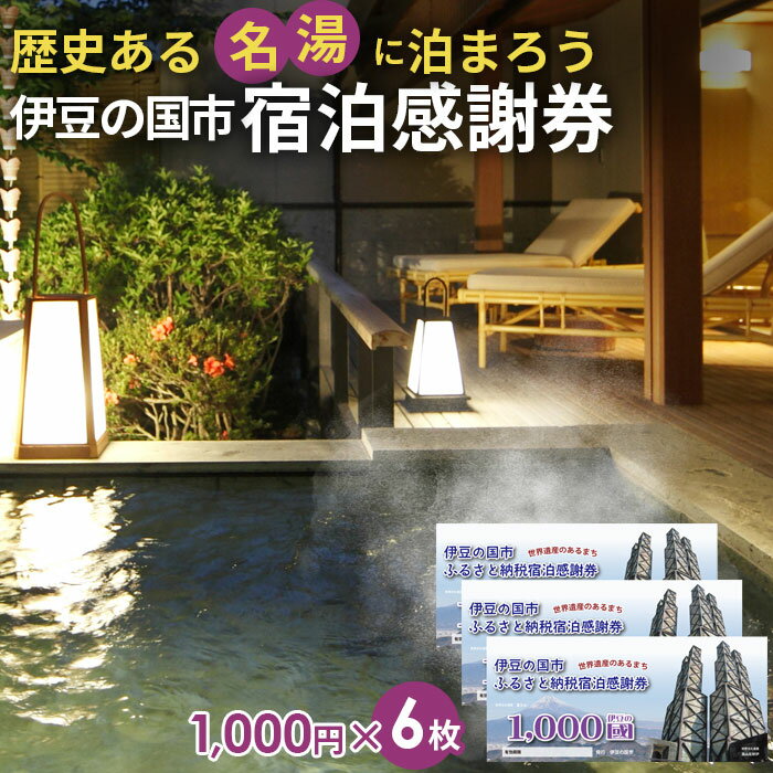 伊豆の国市宿泊感謝券（1000円×6枚） ／ 旅行 伊豆 温泉 体験 旅行券 チケット 旅館 ホテル キャンプ トラベル 伊豆の国 静岡県 静岡 国内