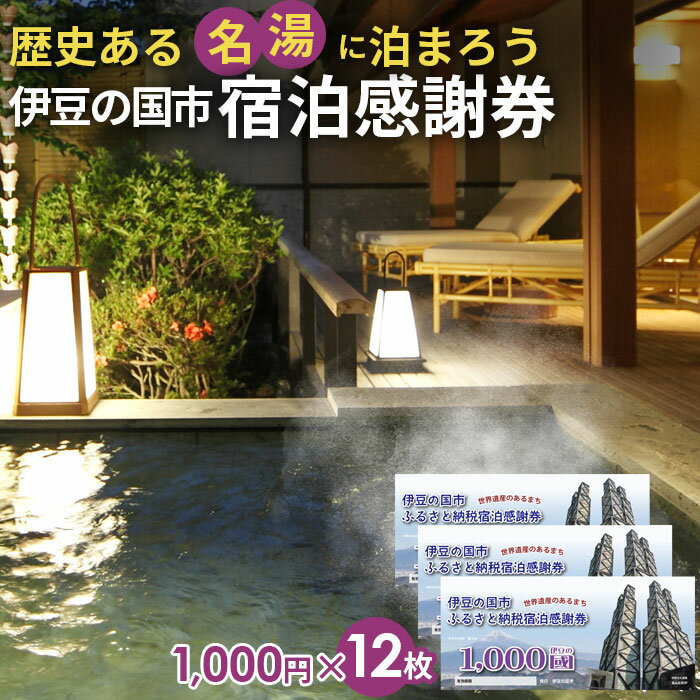 伊豆の国市宿泊感謝券（1000円×12枚） ／ 旅行 伊豆 温泉 体験 旅行券 チケット 旅館 ホテル キャンプ トラベル 伊豆の国 静岡県 静岡 国内