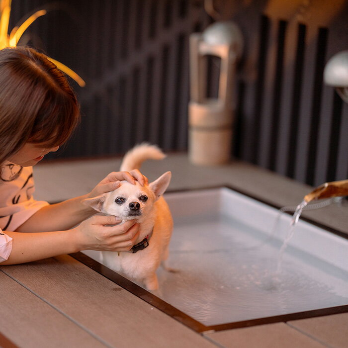 愛犬と寛ぐ大人の隠れ宿　八の坊　全客室対応　宿泊補助券（80,000円分） ／ 旅行 伊豆 温泉 愛犬 犬 足湯 ドッグラン ペット可 体験 旅行券 チケット 旅館 トラベル 伊豆の国 静岡県 静岡 国内