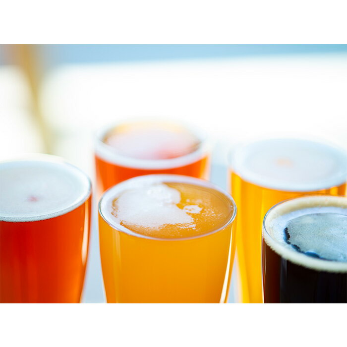 【ふるさと納税】静岡名産お茶＆反射炉ビール3本セット ／ 飲料 酒 ビール クラフトビール 地ビール 茶 緑茶 茶葉 日本茶 煎茶 最高金賞 反射炉 おすすめ おまかせ 伊豆の国 静岡 静岡県 サムネイル2