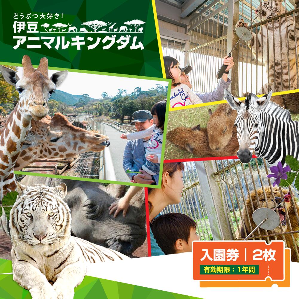 伊豆アニマルキングダム 入園券 2枚 A003 ／ 動物園 チケット 招待券 静岡県 東伊豆町
