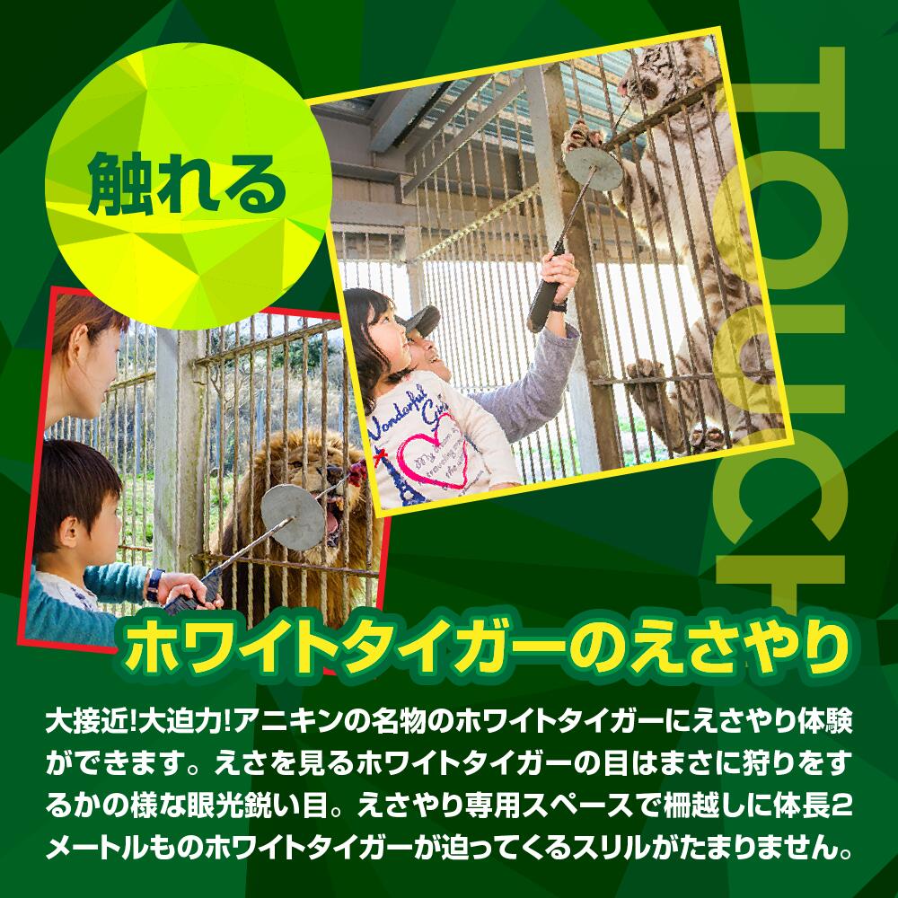 【ふるさと納税】伊豆アニマルキングダム 入園券 2枚 A003 ／ 動物園 チケット 招待券 静岡県 東伊豆町 サムネイル3
