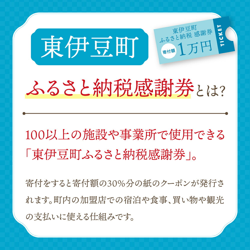 【ふるさと納税】東伊豆町 ふるさと納税 感謝券 300000円 1080 ／ 静岡県 旅行 宿泊 食事 観光 チケット クーポン 補助 リフォーム ホテル 動物園 海鮮 みかん 金目鯛 稲取 熱川 ギフト 土産 サムネイル3