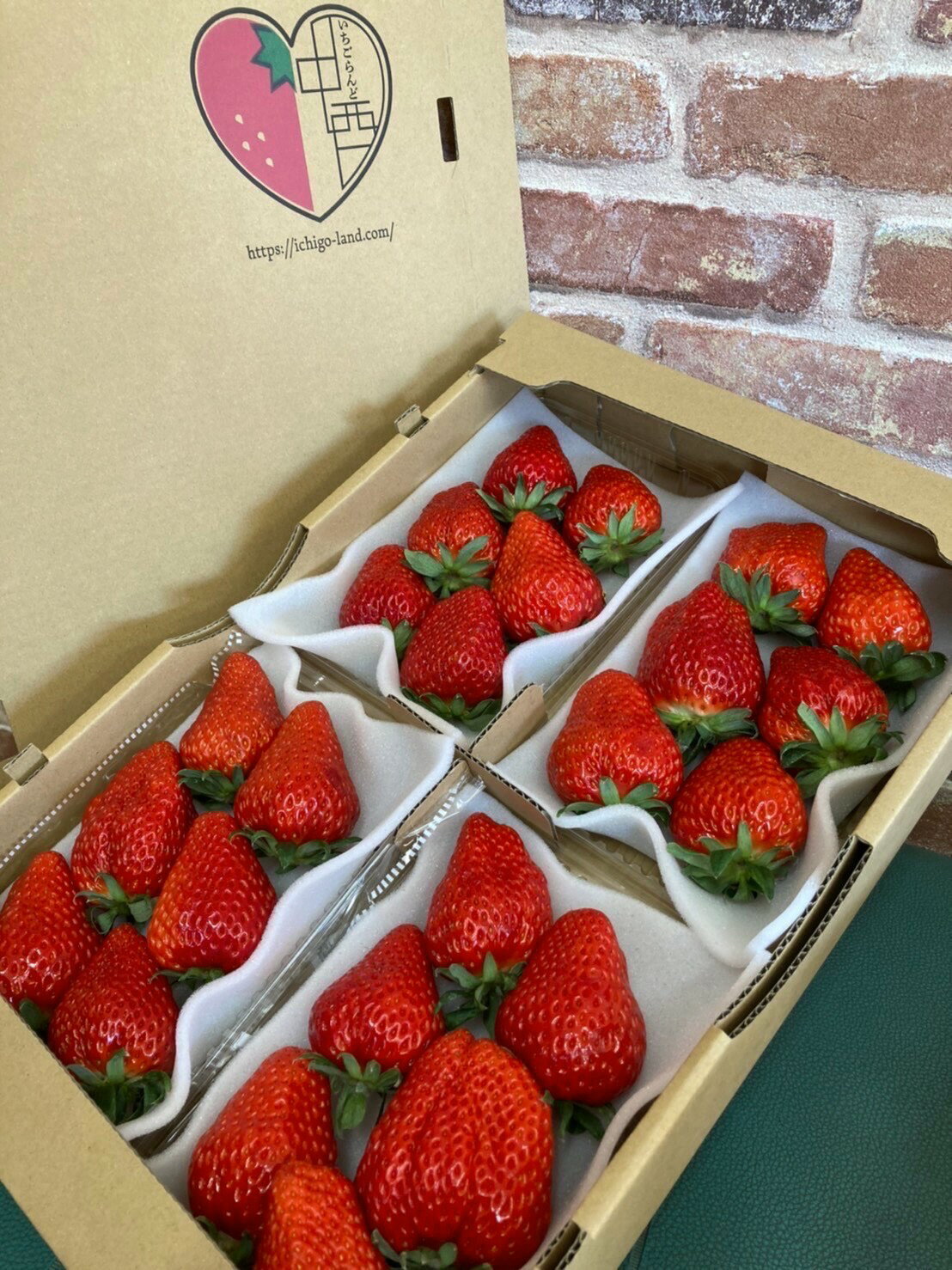 【ふるさと納税】（冷蔵） 朝採り完熟いちご 紅ほっぺ 1120g(280g×4パック)農家直送 静岡県産 1268 サムネイル3