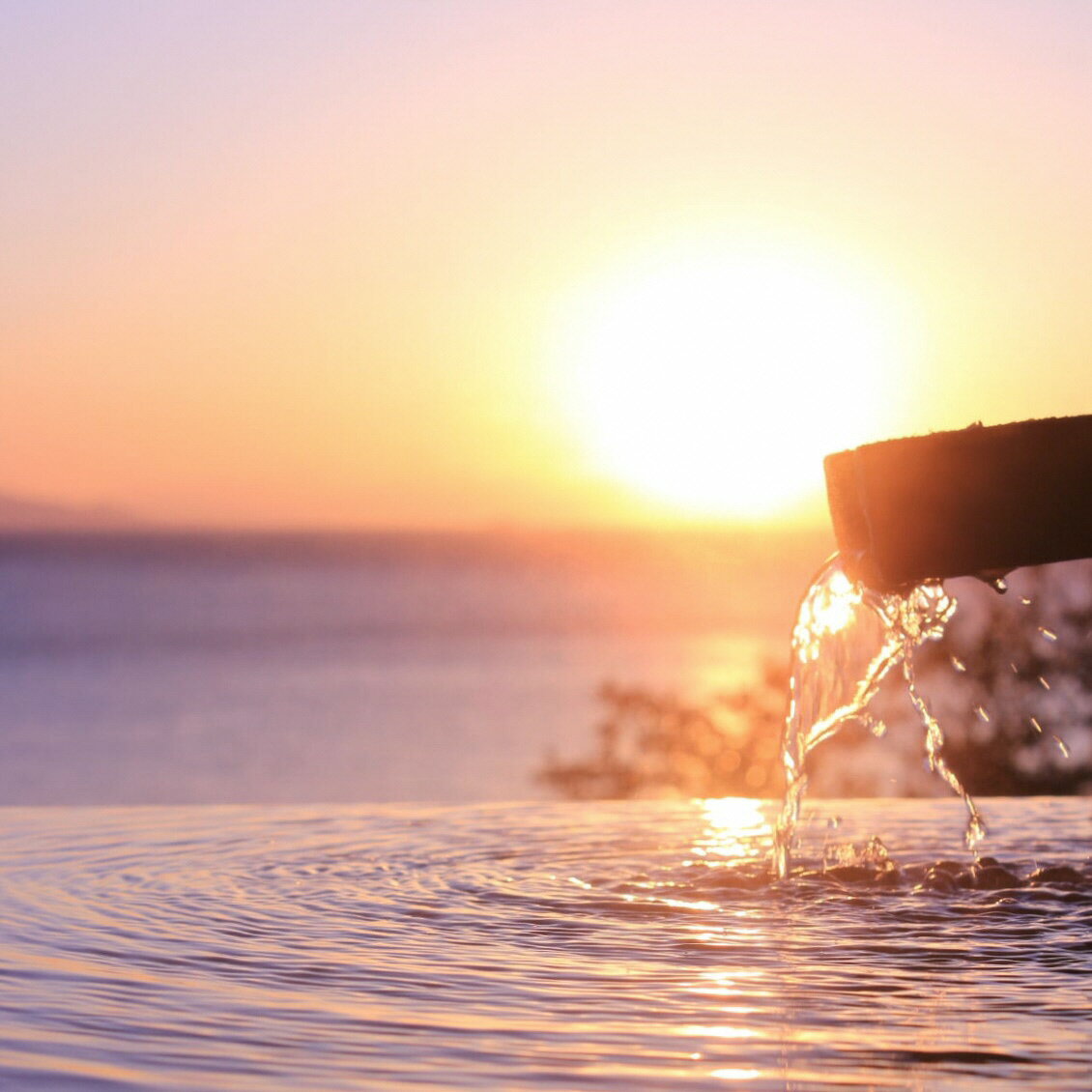 【ふるさと納税】愛犬と泊まる源泉かけ流しの湯宿 湯宿福の湯 宿泊補助券 15,000円分 1293 ／ 福の湯 静岡県 東伊豆 伊豆 愛犬 ペット 泊まれる - 画像3
