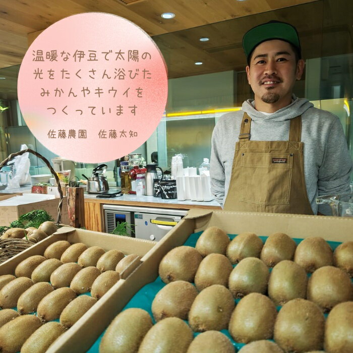 【ふるさと納税】東伊豆・佐藤農園のポンカン　贈答用5kg（Mサイズ～3Lサイズ） 1320 ／ 佐藤農園 果物 フルーツ 農家直送 静岡県 東伊豆町 サムネイル3