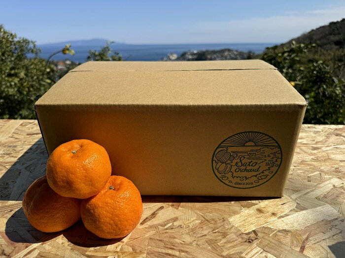 【ふるさと納税】東伊豆・佐藤農園のポンカン　贈答用5kg（Mサイズ～3Lサイズ） 1320 ／ 佐藤農園 果物 フルーツ 農家直送 静岡県 東伊豆町 サムネイル2