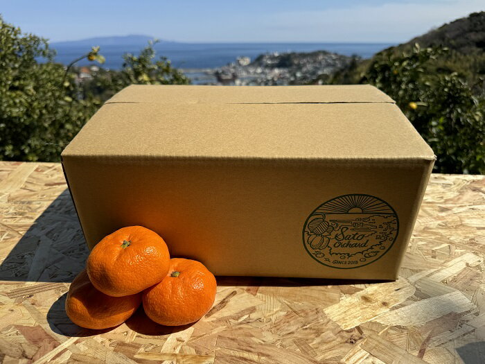 【ふるさと納税】東伊豆・佐藤農園の青島みかん　家庭用5kg（Mサイズ～3Lサイズ） 1327 ／ 佐藤農園 果物 フルーツ 農家直送 静岡県 東伊豆町 サムネイル2