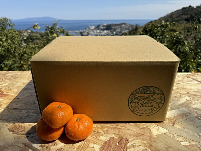 【ふるさと納税】東伊豆・佐藤農園の青島みかん　家庭用10kg（Mサイズ～3Lサイズ） 1329 ／ 佐藤農園 果物 フルーツ 農家直送 静岡県 東伊豆町 サムネイル2