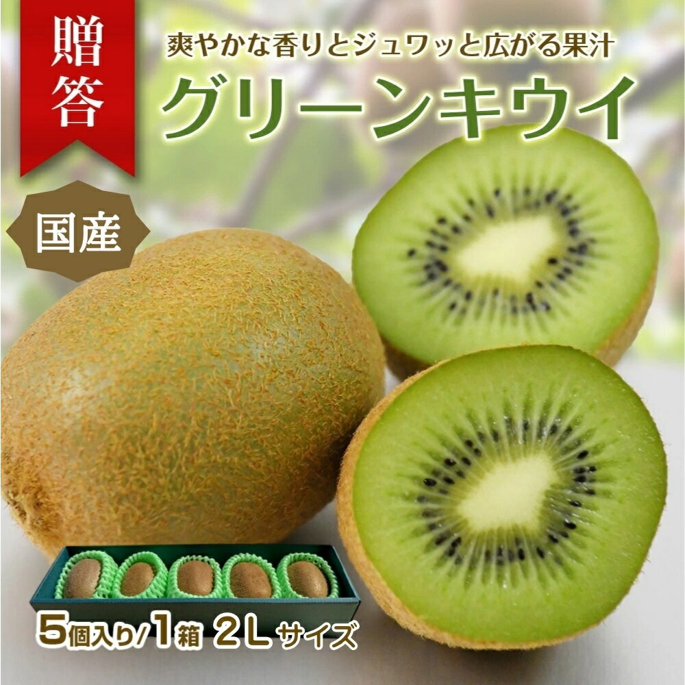 東伊豆・佐藤農園のキウイ　贈答用　5個入（2Lサイズ） 1330 ／ 佐藤農園 果物 フルーツ 農家直送 静岡県 東伊豆町