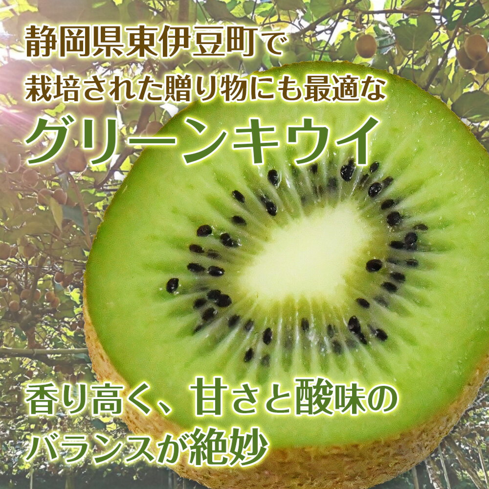 【ふるさと納税】東伊豆・佐藤農園のキウイ　贈答用　5個入（2Lサイズ） 1330 ／ 佐藤農園 果物 フルーツ 農家直送 静岡県 東伊豆町 サムネイル2