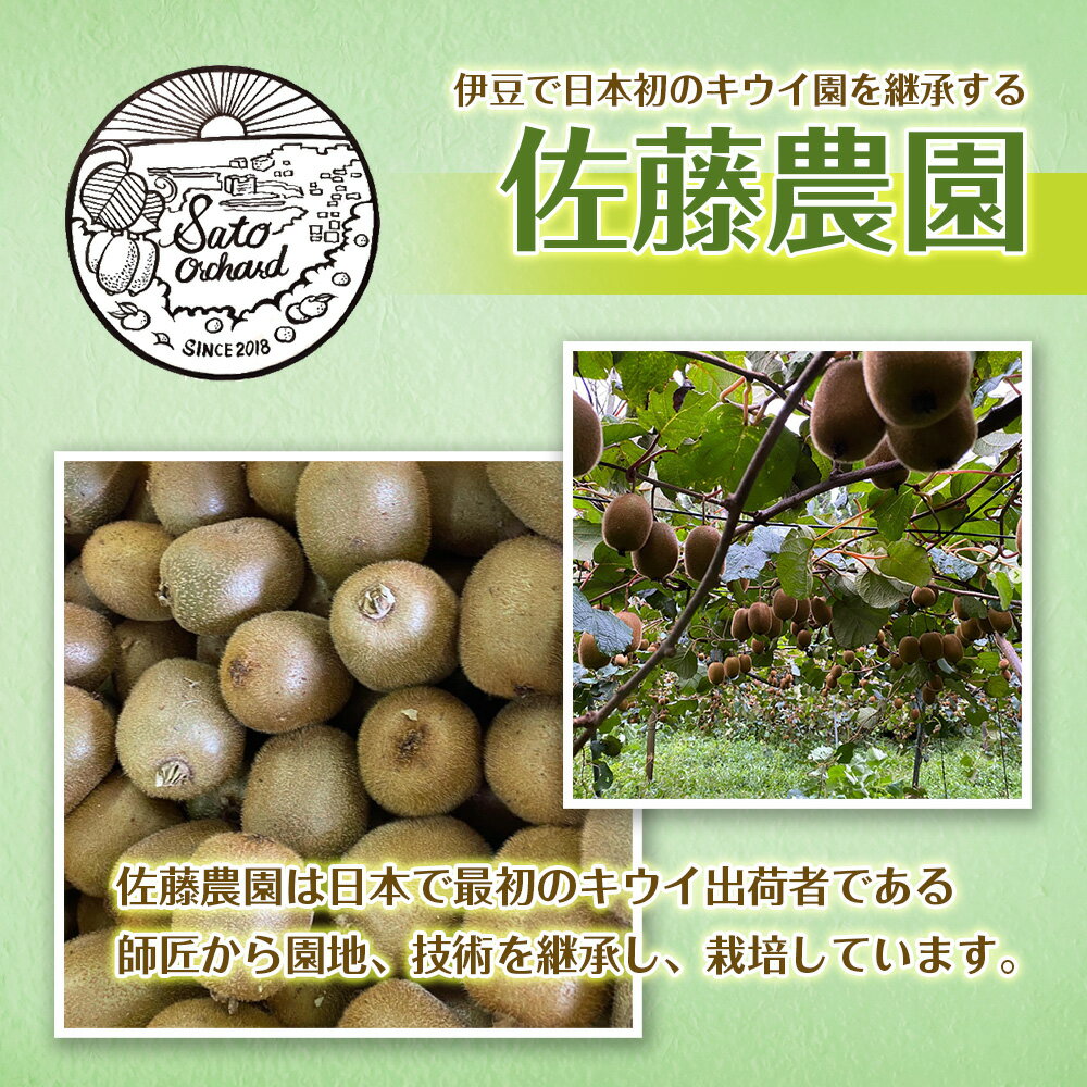 【ふるさと納税】東伊豆・佐藤農園のキウイ　贈答用　5個入（2Lサイズ） 1330 ／ 佐藤農園 果物 フルーツ 農家直送 静岡県 東伊豆町 サムネイル3