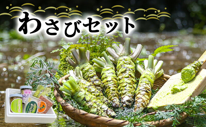 【ふるさと納税】とれたて わさび セット 滝 生産者直送 生わさび 2本 手作り わさび漬け 天城の春 三杯酢漬け わさびみそ むらさき漬 醤油漬け 伊豆 ワサビ 茎 加工品 加工食品 薬味 詰め合わせ 静岡 調味料　 河津町 サムネイル2
