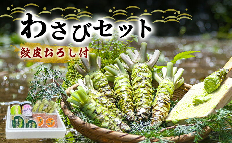 【ふるさと納税】わさび セット 鮫皮おろし付 生わさび 4本 わさび漬け 2個 わさび味噌 2個 天城の春 三杯酢漬け1瓶 むらさき漬け 1瓶 詰め合わせ 伊豆 伊豆わさび食品直送 ワサビ 山葵 鮫皮おろし 加工品 薬味 調味料 冷蔵 冷蔵配送 静岡 静岡県 河津 河津町 サムネイル2