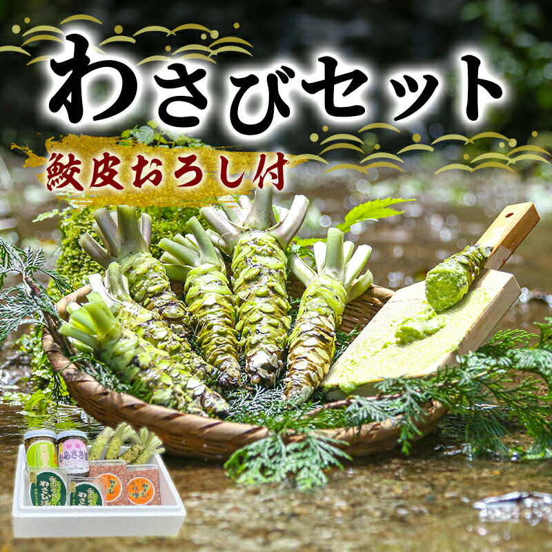 わさび セット 鮫皮おろし付 生わさび 4本 わさび漬け 2個 わさび味噌 2個 天城の春 三杯酢漬け1瓶 むらさき漬け 1瓶 詰め合わせ 伊豆 伊豆わさび食品直送 ワサビ 山葵 鮫皮おろし 加工品 薬味 調味料 冷蔵 冷蔵配送 静岡 静岡県 河津 河津町