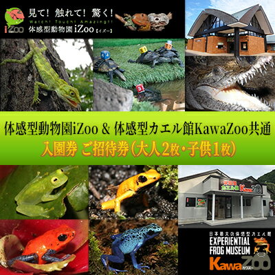 動物園 静岡 イズー カワズー 大人 2枚 子供 1枚 入場券 セット 動物 カエル 爬虫類 観光 子供 家族 お出かけ チケット 券 ギフト券 体験チケット ギフト プレゼント 贈答 贈答品 贈り物 旅行 観光 入園券 静岡県 河津 河津町