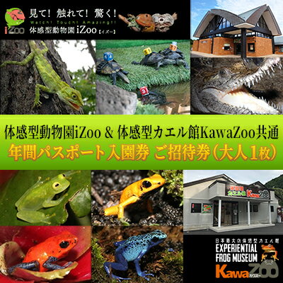 イズー カワズー 年間パスポート（大人1名） 共通入園券 爬虫類 動物園 河津町 観光　 チケット 年パス 日本最大級 近距離 希少な動物 体感型動物園 カエル專門施設 お出かけ