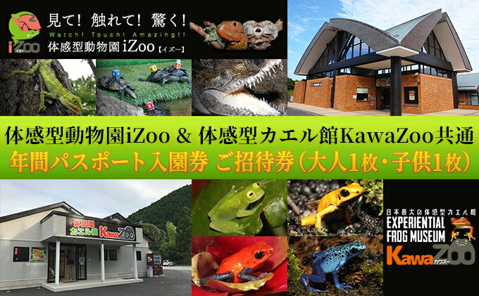 【ふるさと納税】イズー カワズー 年間パスポート（大人1名・子供1名） 共通入園券 爬虫類 動物園 河津町 観光　 チケット 年パス 日本最大級 近距離 希少な動物 体感型動物園 カエル專門施設 お出かけ サムネイル2