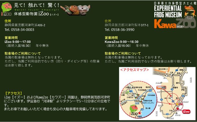【ふるさと納税】イズー カワズー 年間パスポート（大人1名・子供1名） 共通入園券 爬虫類 動物園 河津町 観光　 チケット 年パス 日本最大級 近距離 希少な動物 体感型動物園 カエル專門施設 お出かけ サムネイル3
