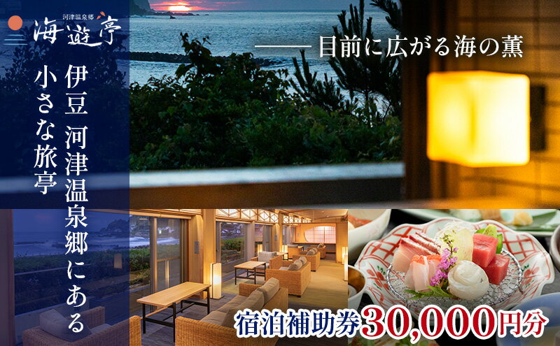 【ふるさと納税】旅行 静岡県 宿泊補助券 海遊亭 30000円分 伊豆 温泉 河津温泉 オーシャンビュー 宿泊 旅館 ホテル 宿 観光 国内旅行 家族 ファミリー カップル 一人旅 記念日 チケット 宿泊券 旅行券 券 ギフト券 施設利用券 静岡 河津 河津町 サムネイル2