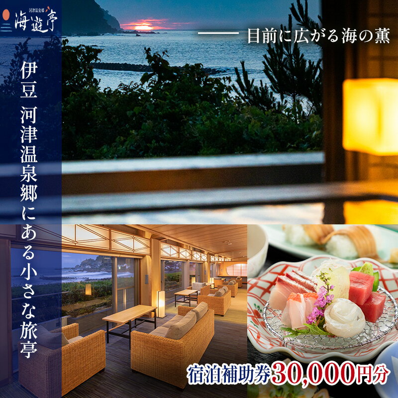 旅行 静岡県 宿泊補助券 海遊亭 30000円分 伊豆 温泉 河津温泉 オーシャンビュー 宿泊 旅館 ホテル 宿 観光 国内旅行 家族 ファミリー カップル 一人旅 記念日 チケット 宿泊券 旅行券 券 ギフト券 施設利用券 静岡 河津 河津町