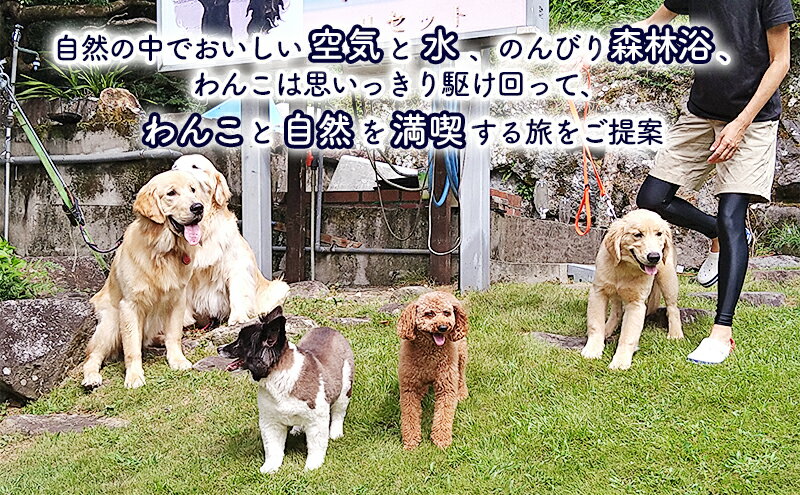 【ふるさと納税】浬世人（リセット）【12,000円分】宿泊補助券 ペットと泊まれる 犬 犬好き ペット わんこ 河津 河津町 静岡 伊豆 宿泊券 自然 旅行 観光　 ペットと泊まれる宿 犬連れ 犬連れ旅行 サムネイル3
