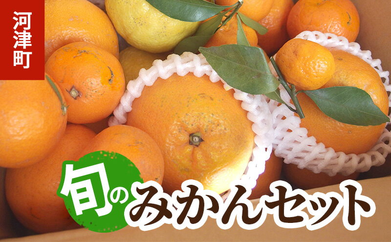 【ふるさと納税】みかん 河津町旬のみかんセット ミカン セット 旬の果物 フルーツ 果実 ニューサマーオレンジ 甘夏 不知火 早生ミカン はるみ ポンカン 河津町 静岡県　お届け：2025年10月から2026年6月まで サムネイル2