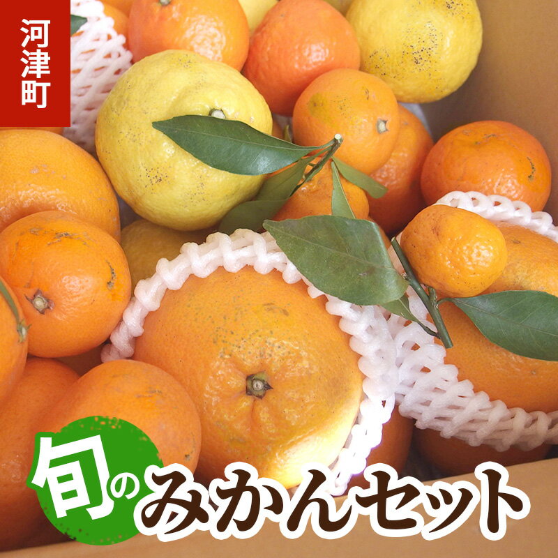 みかん 河津町旬のみかんセット ミカン セット 旬の果物 フルーツ 果実 ニューサマーオレンジ 甘夏 不知火 早生ミカン はるみ ポンカン 河津町 静岡県　お届け：2025年10月から2026年6月まで