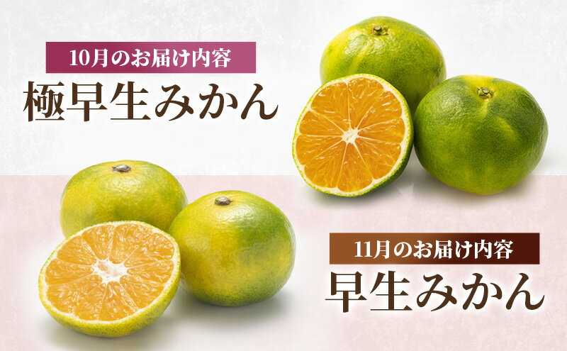 【ふるさと納税】みかん 河津町旬のみかんセット ミカン セット 旬の果物 フルーツ 果実 ニューサマーオレンジ 甘夏 不知火 早生ミカン はるみ ポンカン 河津町 静岡県　お届け：2025年10月から2026年6月まで サムネイル3
