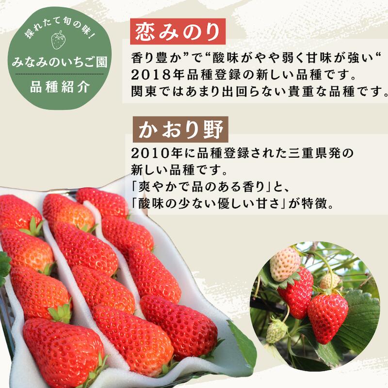 【ふるさと納税】【予約受付】【2026年3月~5月発送予定】完熟いちご280g 選べる2パック・4パック（DXパック）恋みのり かおり野 から厳選 送料無料 みなみのいちご園 いちご イチゴ 苺 恋みのり かおり野 静岡 いちご 果物 フルーツ 南伊豆町産 静岡 サムネイル3