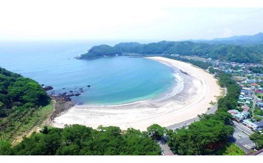 【ふるさと納税】旅行券 温泉 旅行 海水浴 体験 飲食店 チケット 南伊豆町 温泉 キャンプ 旅館 民宿 チケット 商品券 30枚 30,000円相当 ふるさと寄附感謝券30枚 トラベル お食事券 お土産 おみやげ 観光 全国旅行支援 併用可能 サムネイル3