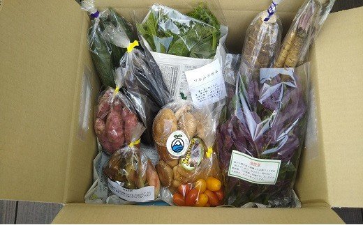 【ふるさと納税】湯の花　南伊豆を味わう満足セット[3か月定期便] - 画像3