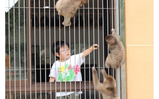 【ふるさと納税】波勝崎モンキーベイ　ペア入場券　動物園 サムネイル3