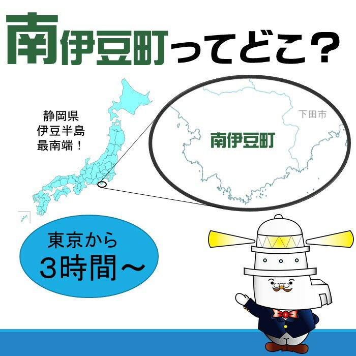【ふるさと納税】静岡県南伊豆町の対象施設で使える楽天トラベルクーポン 寄付額30,000円 サムネイル3