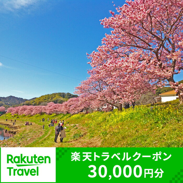 静岡県南伊豆町の対象施設で使える楽天トラベルクーポン 寄付額30,000円