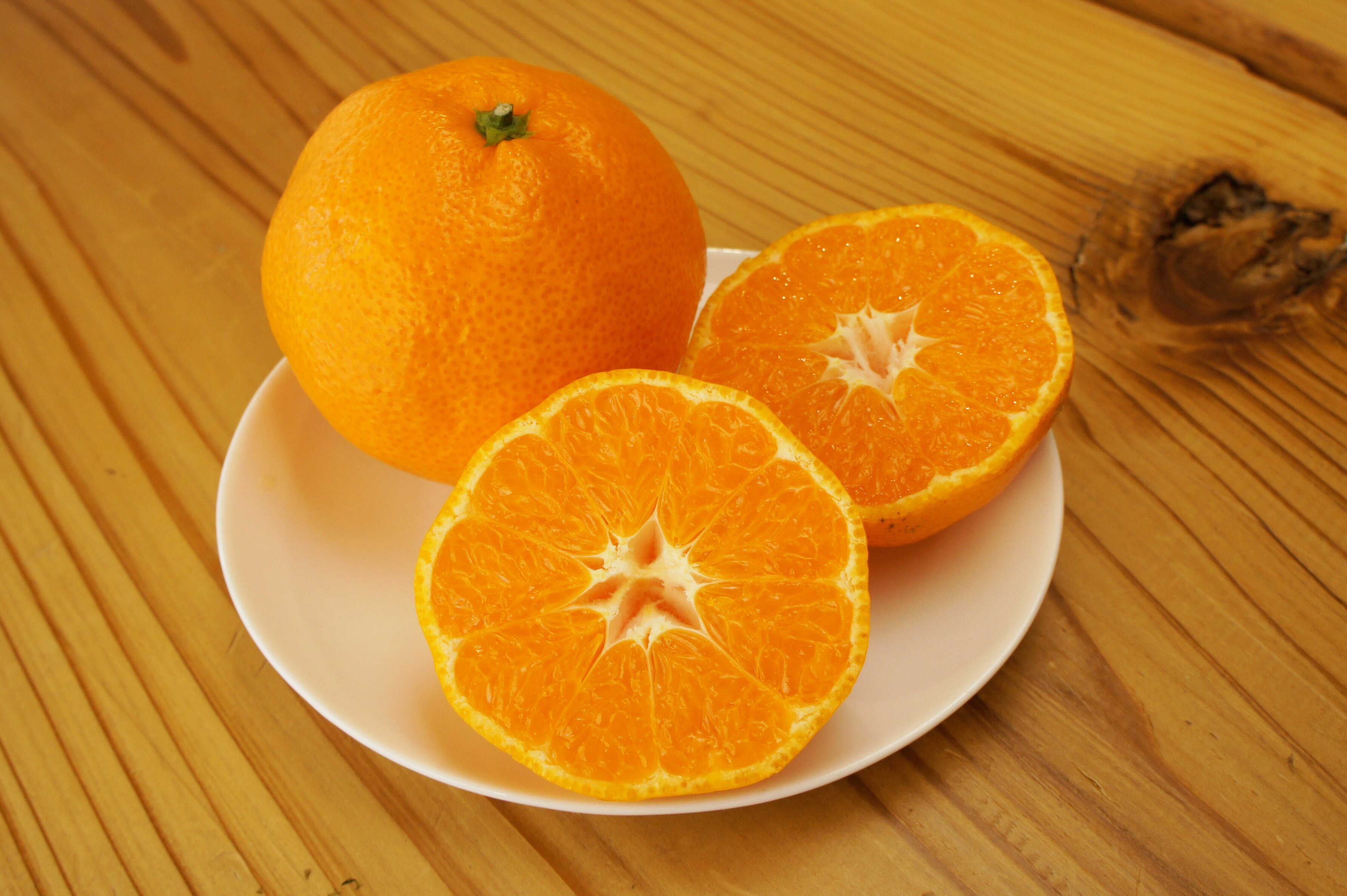 【ふるさと納税】先行予約 温州みかん 3kg/5Kg/10Kg 湯の花 早生 ミカン 果物 柑橘 フルーツ ブランド 甘い 静岡 南伊豆 季節限定 旬 道の駅 サムネイル3